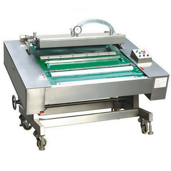 DZ1000C Continuous Vacuum Packaging machine